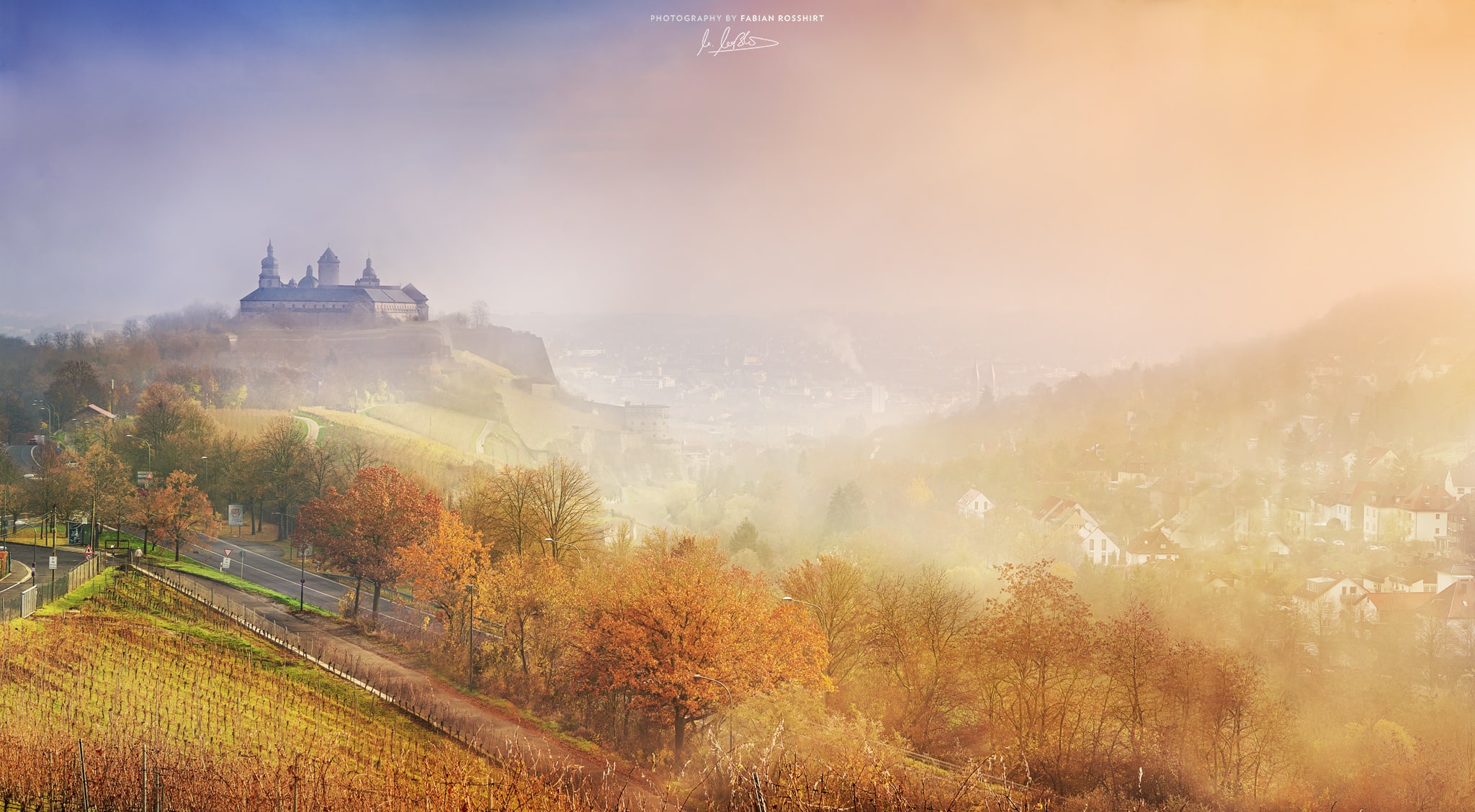 Festung, Hexenbruch, Weinberge, Nebel, neblig, Früh, morgens, FOGGY MORNING (Würzburg Wallpaper HD Wandbild Wandbilder Hintergrundbild Background)